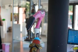 La Maison des Arts présente : CONTES D’EFFETS