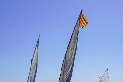La sortie des barques catalanes : une trobada qui a le vent en poupe !