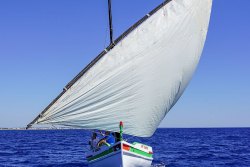 La sortie des barques catalanes : une trobada qui a le vent en poupe !