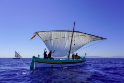 La sortie des barques catalanes : une trobada qui a le vent en poupe !