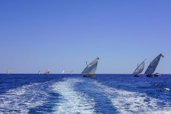 La sortie des barques catalanes : une trobada qui a le vent en poupe !