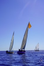 La sortie des barques catalanes : une trobada qui a le vent en poupe !