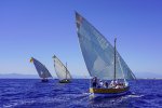 La sortie des barques catalanes : une trobada qui a le vent en poupe !