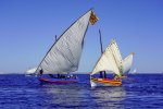 La sortie des barques catalanes : une trobada qui a le vent en poupe !