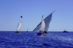 La sortie des barques catalanes : une trobada qui a le vent en poupe !