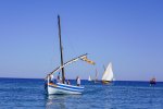 La sortie des barques catalanes : une trobada qui a le vent en poupe !