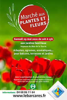 marche_fleurs_2_small_affiche