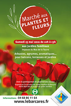 marche_fleurs_small_affiche