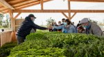 Marché aux plantes et fleurs aux jardins familiaux samedi 15 mai de 10h à 13h