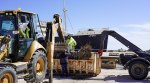 Port-Barcarès : aménagement des jardins du Lydia