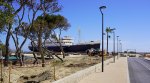 Port-Barcarès : aménagement des jardins du Lydia