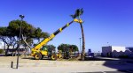 Port-Barcarès : aménagement des jardins du Lydia