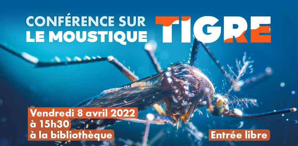 conf_moustique_une