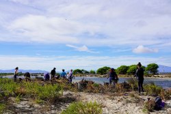 Le groupe des bénévoles en action aux Dosses et à la Presqu'Ile