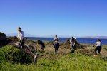 Le groupe des bénévoles en action aux Dosses et à la Presqu'Ile