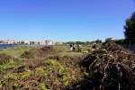 Le groupe des bénévoles en action aux Dosses et à la Presqu'Ile