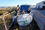 Le groupe des bénévoles en action aux Dosses et à la Presqu'Ile