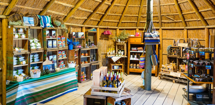 boutique_sanills_page_une
