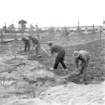 ARCHIVE : ARRIVÉE DU LYDIA | 11 JUIN 1967