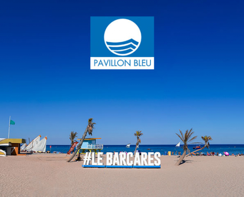 pavillon_bleu_logo_1_une