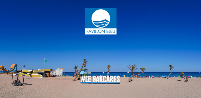 pavillon_bleu_logo_1_une
