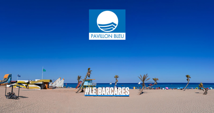 pavillon_bleu_logo_1_une