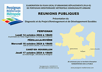 Affiche_reunions_publiques_2024_small