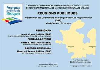 Affiche_reunions_publiques_2025_small