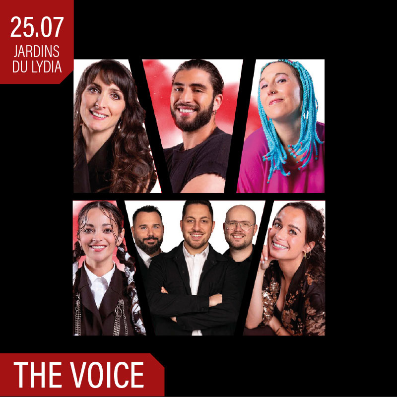 concert_TheVoice