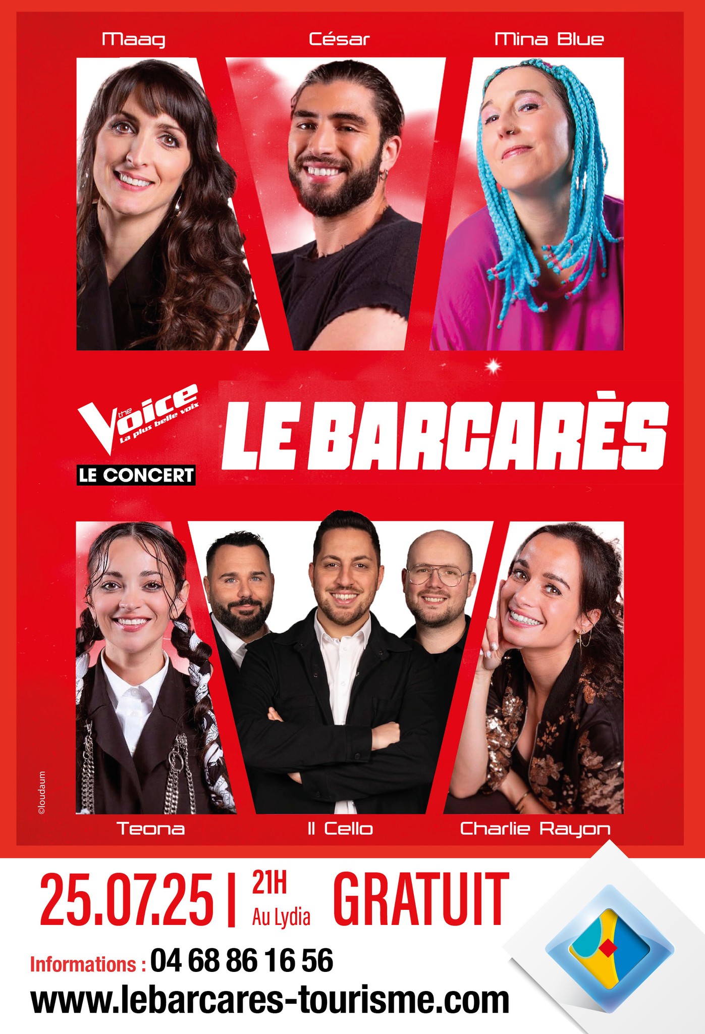 voice