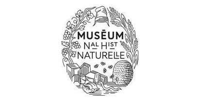 museum_2