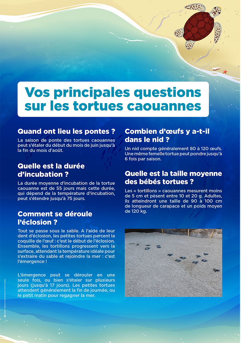 questions_1