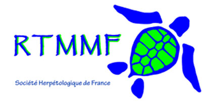 rtmmf