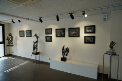 La Maison des Arts présente : CAPTURE