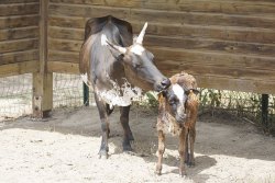 La Ferme du Barcarès