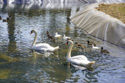 La Ferme du Barcarès