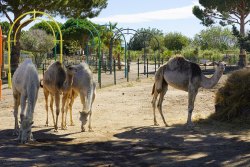 La Ferme du Barcarès