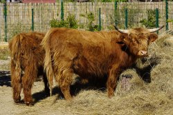 La Ferme du Barcarès