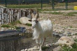 La Ferme du Barcarès