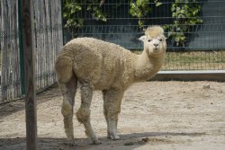 La Ferme du Barcarès