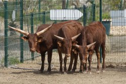 La Ferme du Barcarès