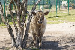 La Ferme du Barcarès
