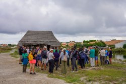 Des volontaires au service de la nature