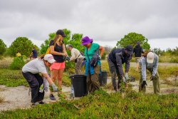 Des volontaires au service de la nature