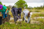 Des volontaires au service de la nature