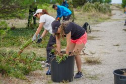 Des volontaires au service de la nature