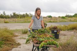 Des volontaires au service de la nature