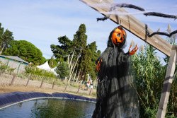 La Ferme du Barcarès se métamorphose pour Halloween !