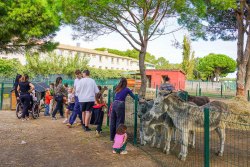 La Ferme du Barcarès se métamorphose pour Halloween !