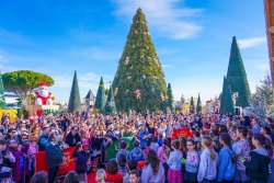 Saint Nicolas annonce Noël